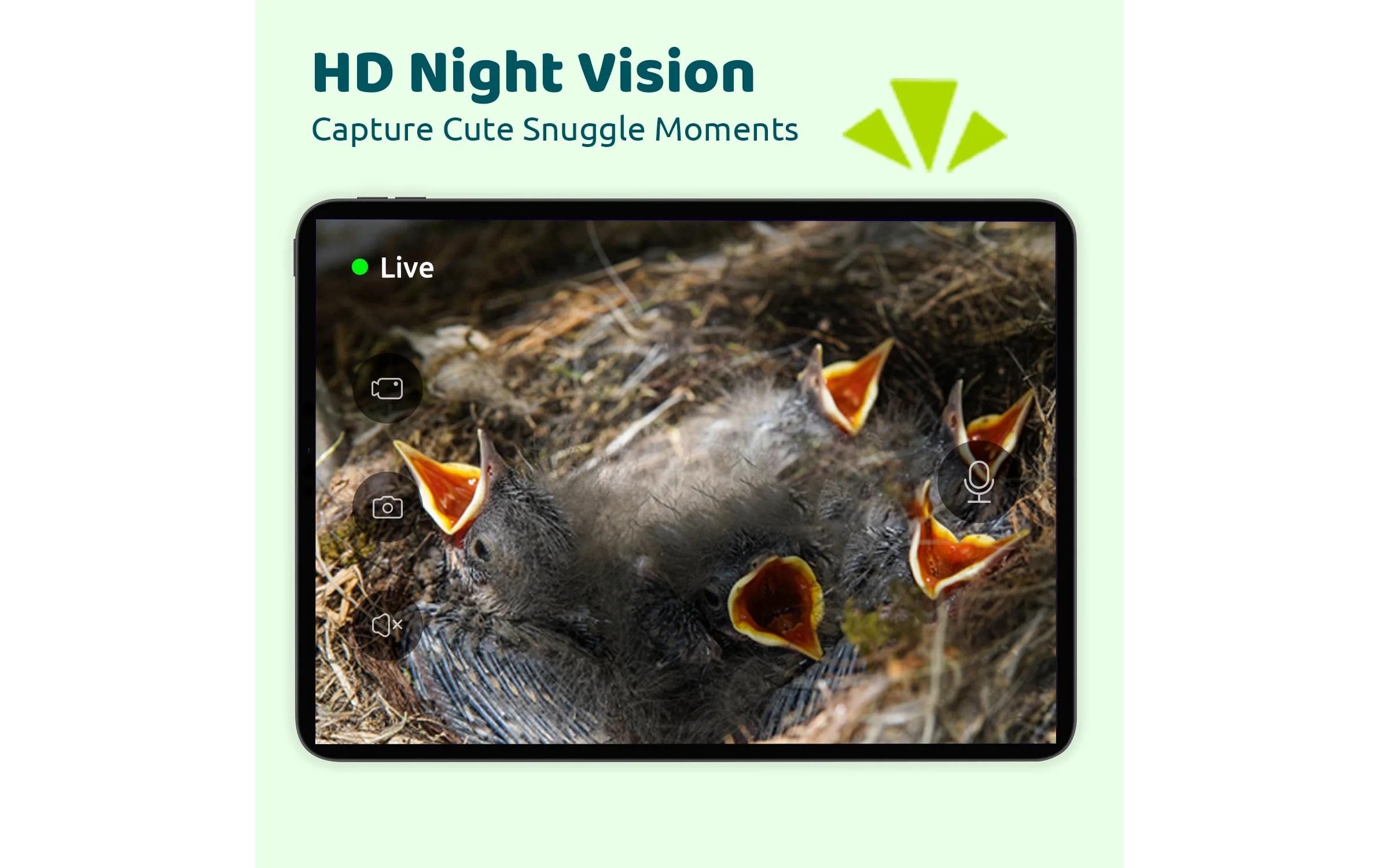 Birdfy Vogelhaus Nistkasten mit Kamera und Solar