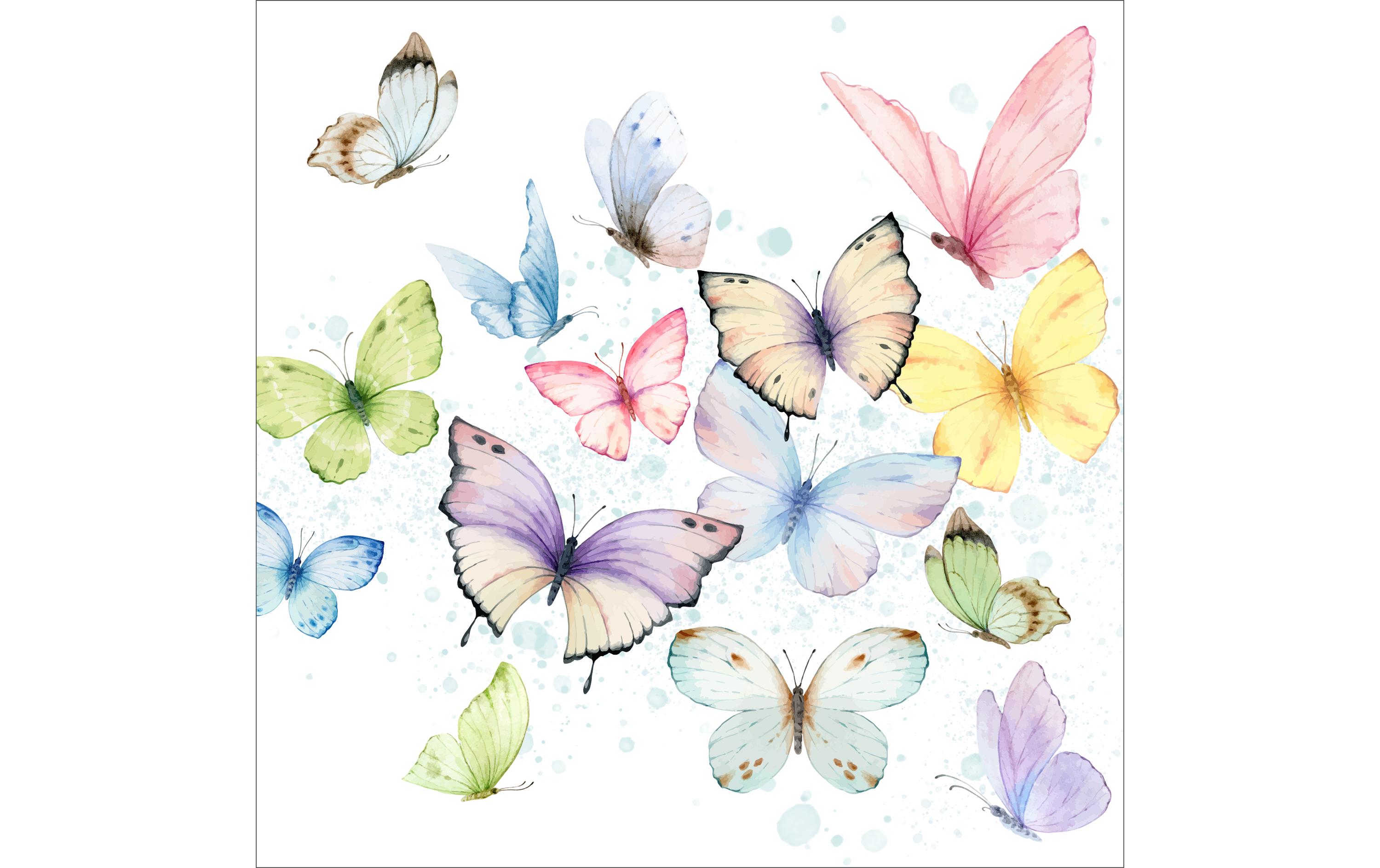 Braun + Company Serviette Soft Whisper 33 x 33 cm, 20 Stück