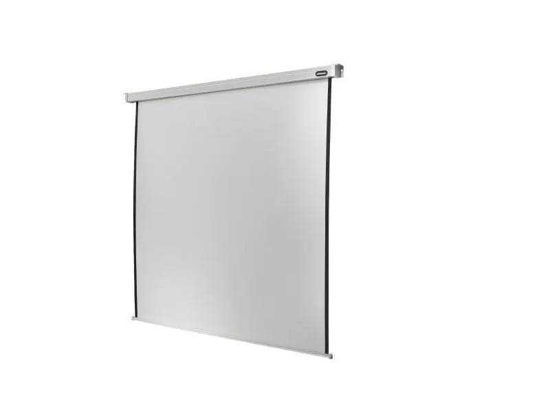 Celexon Motorleinwand Motor Professional 220x220cm 1:1 Celexon Motorleinwand Motor Professional 220x220cm 1:1