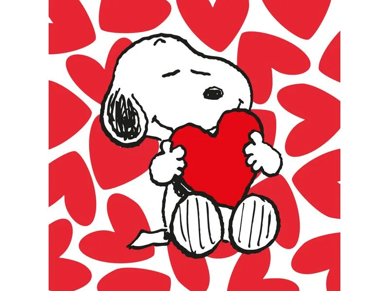 Braun + Company Snoopy Love 20 Stück Braun + Company Snoopy Love 20 Stück