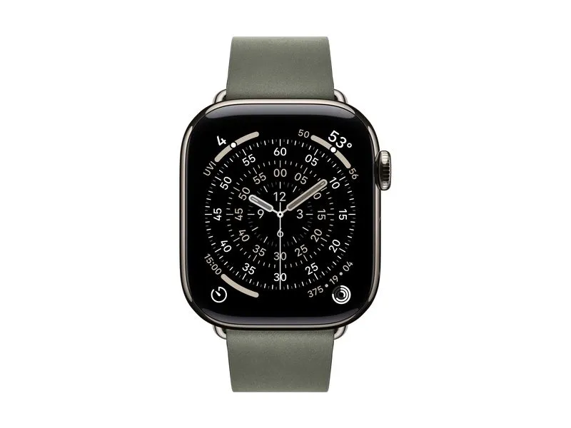 Apple Modern Buckle 42 mm Sage Gray Small