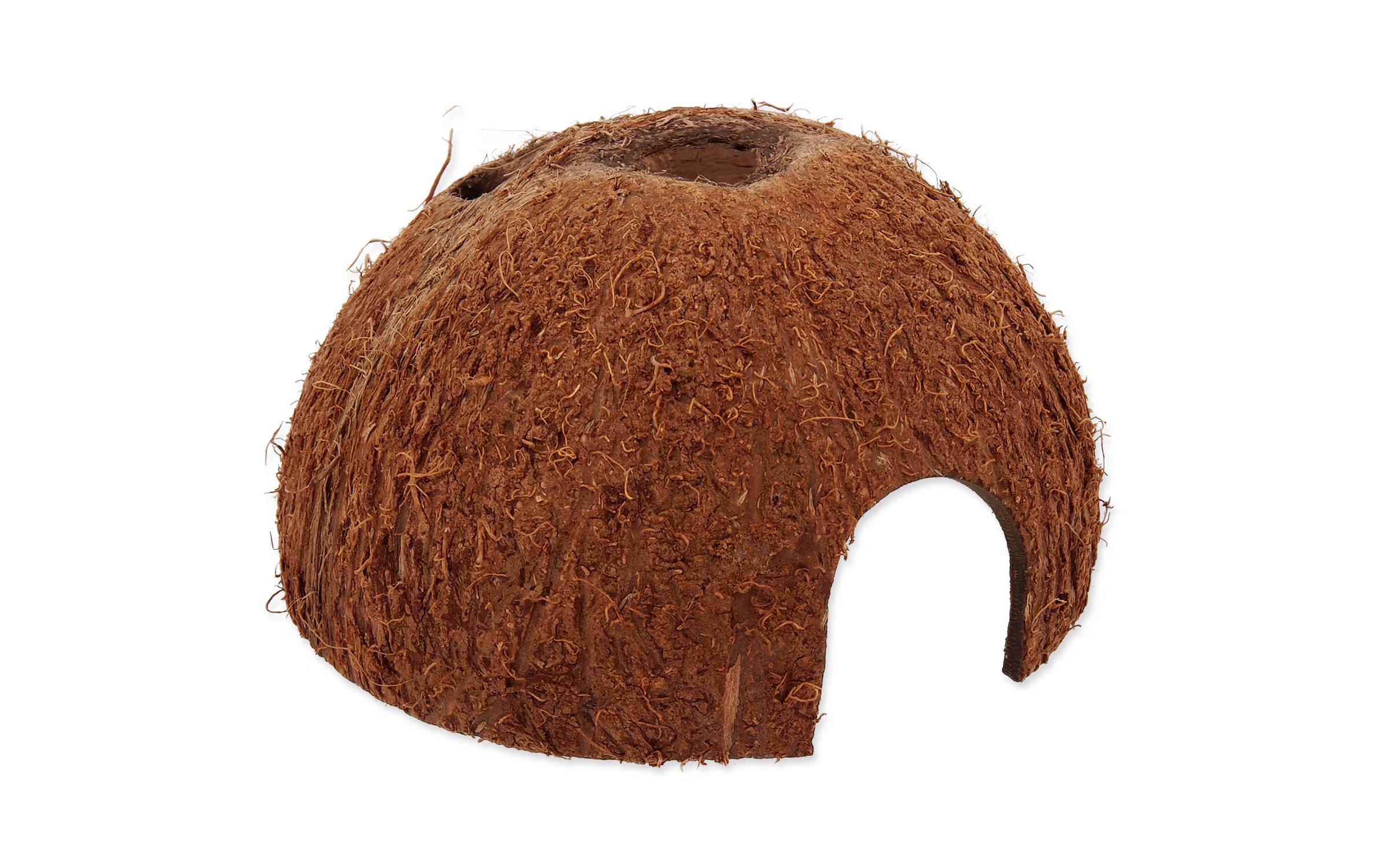 Repti Planet Coco Schale L Repti Planet Coco Schale L