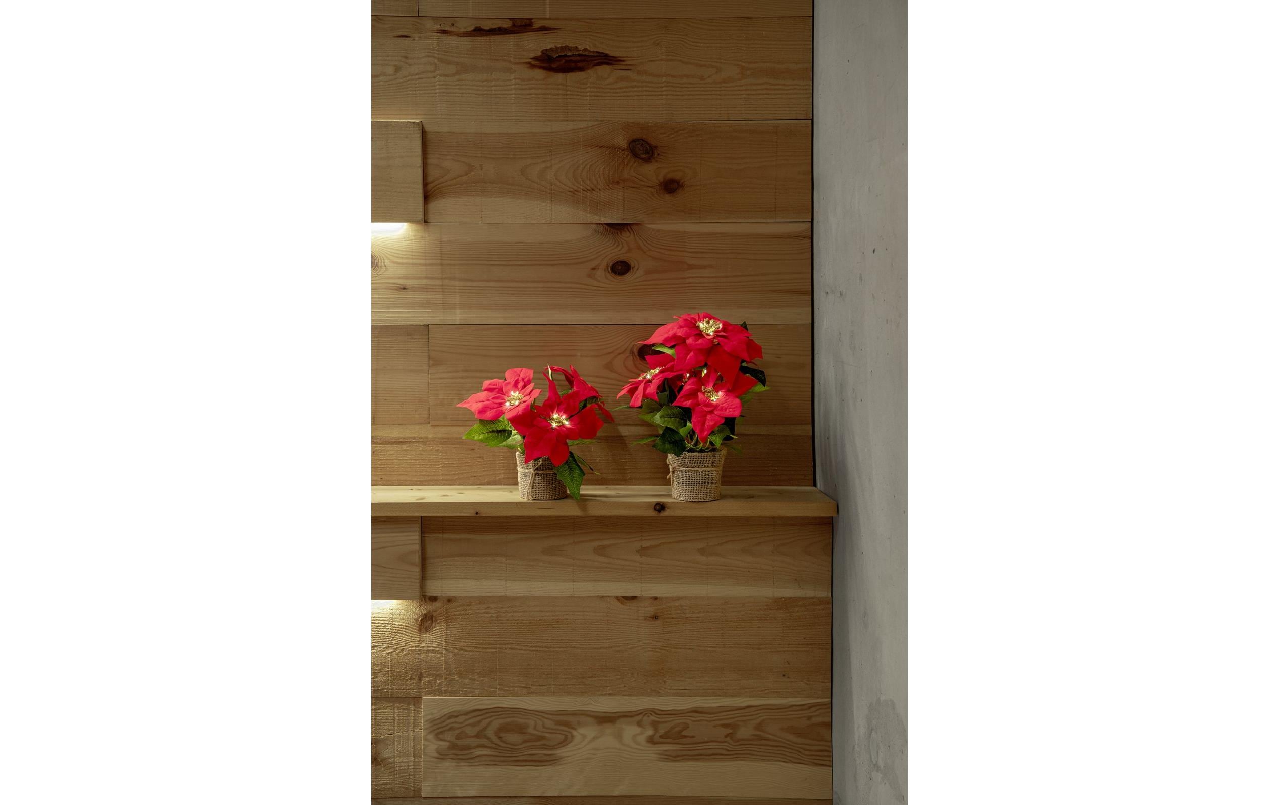 STT Poinsettia 33 cm