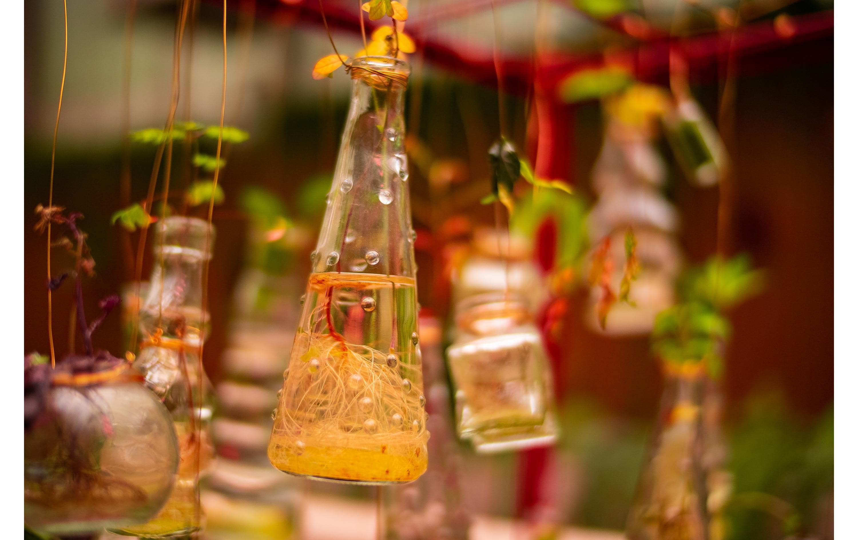 Laowa Festbrennweite Argus 33 mm F/0.95 CF APO – Canon RF