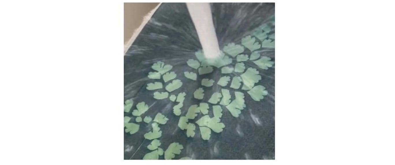 Clairefontaine Bastelset Cyanotype-Kit 10 Blatt