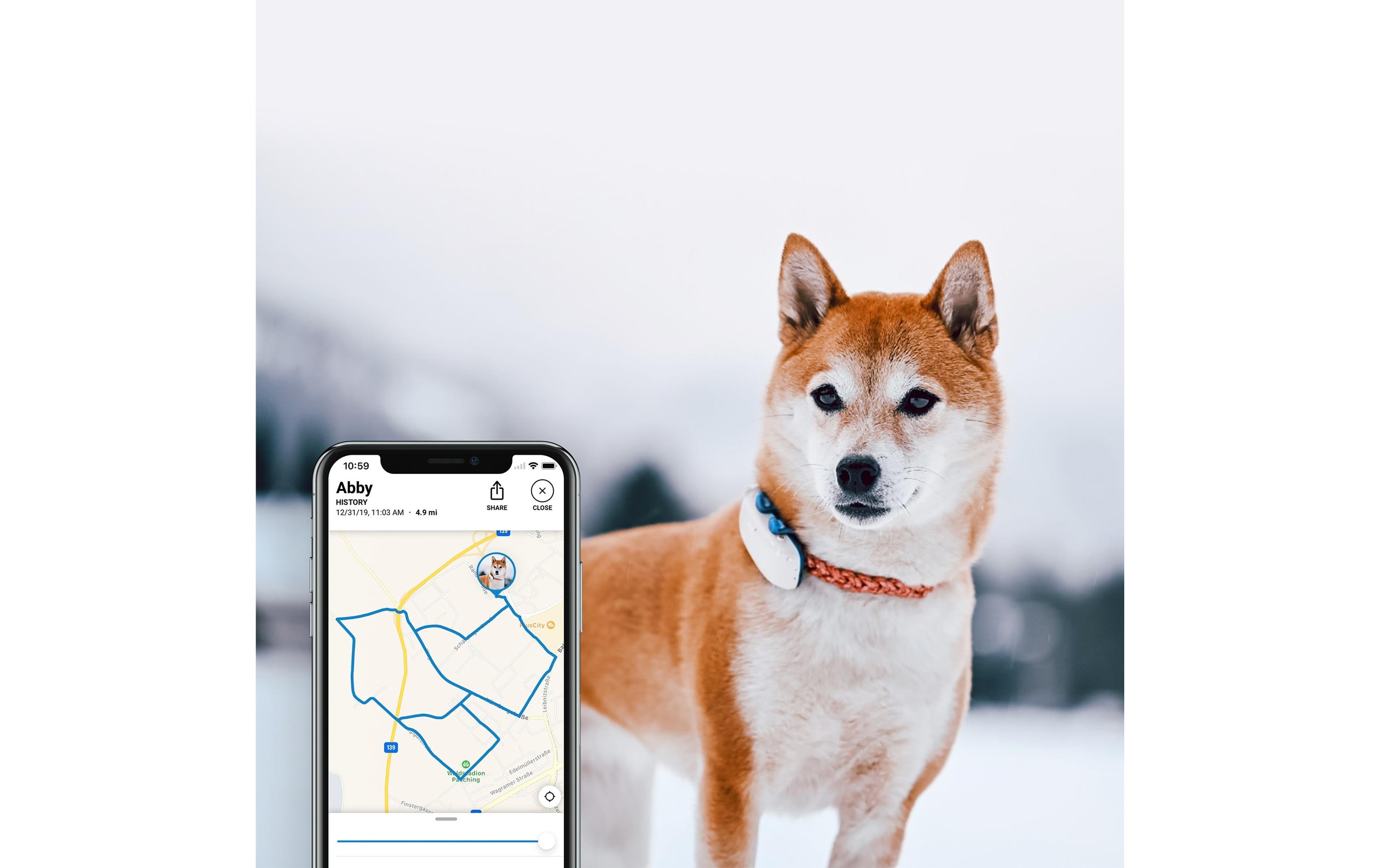 tractive GPS-Tracker LTE für Hunde, weiss