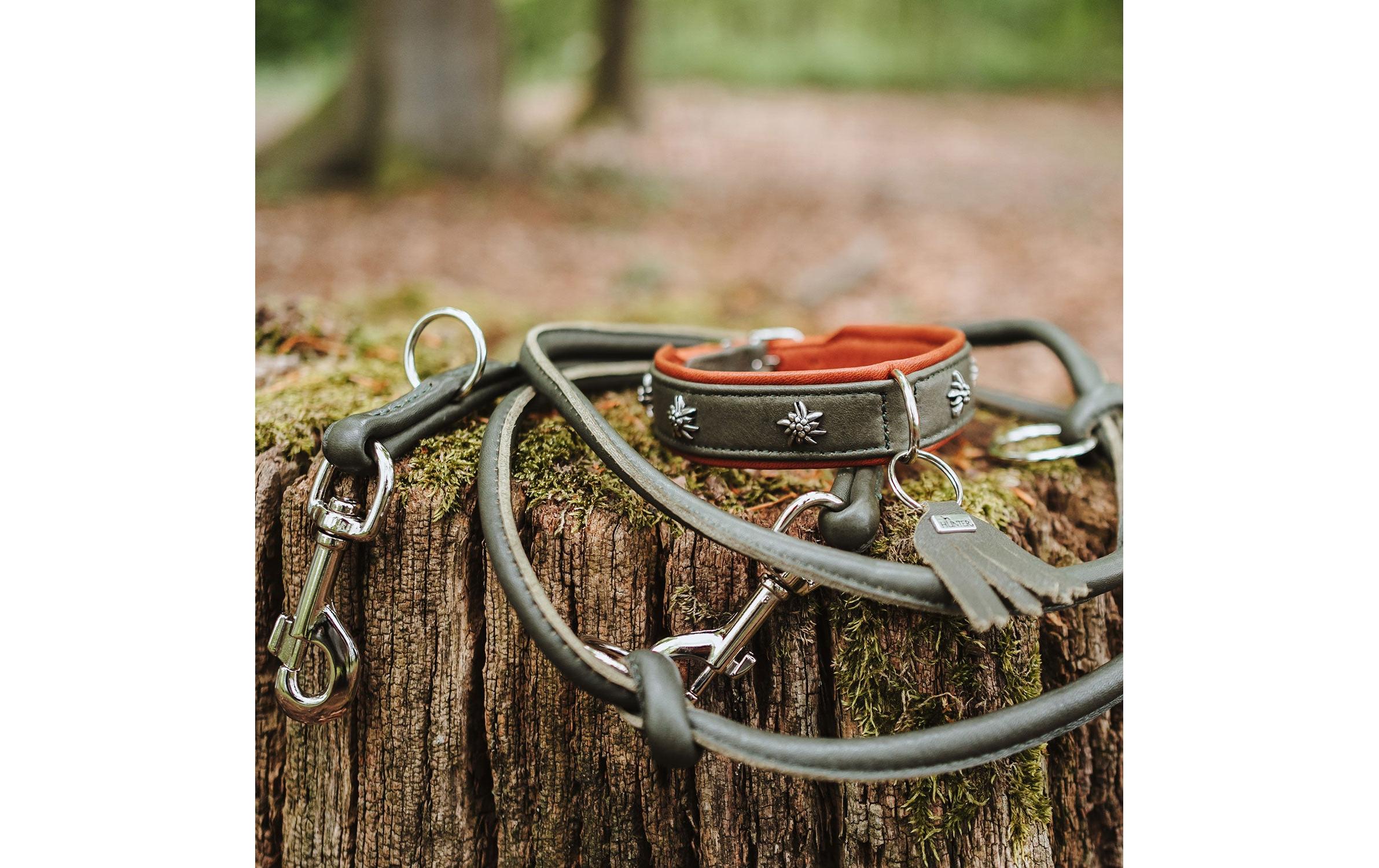 Hunter V-Leine Round München 10/200, Rindsleder, Grün