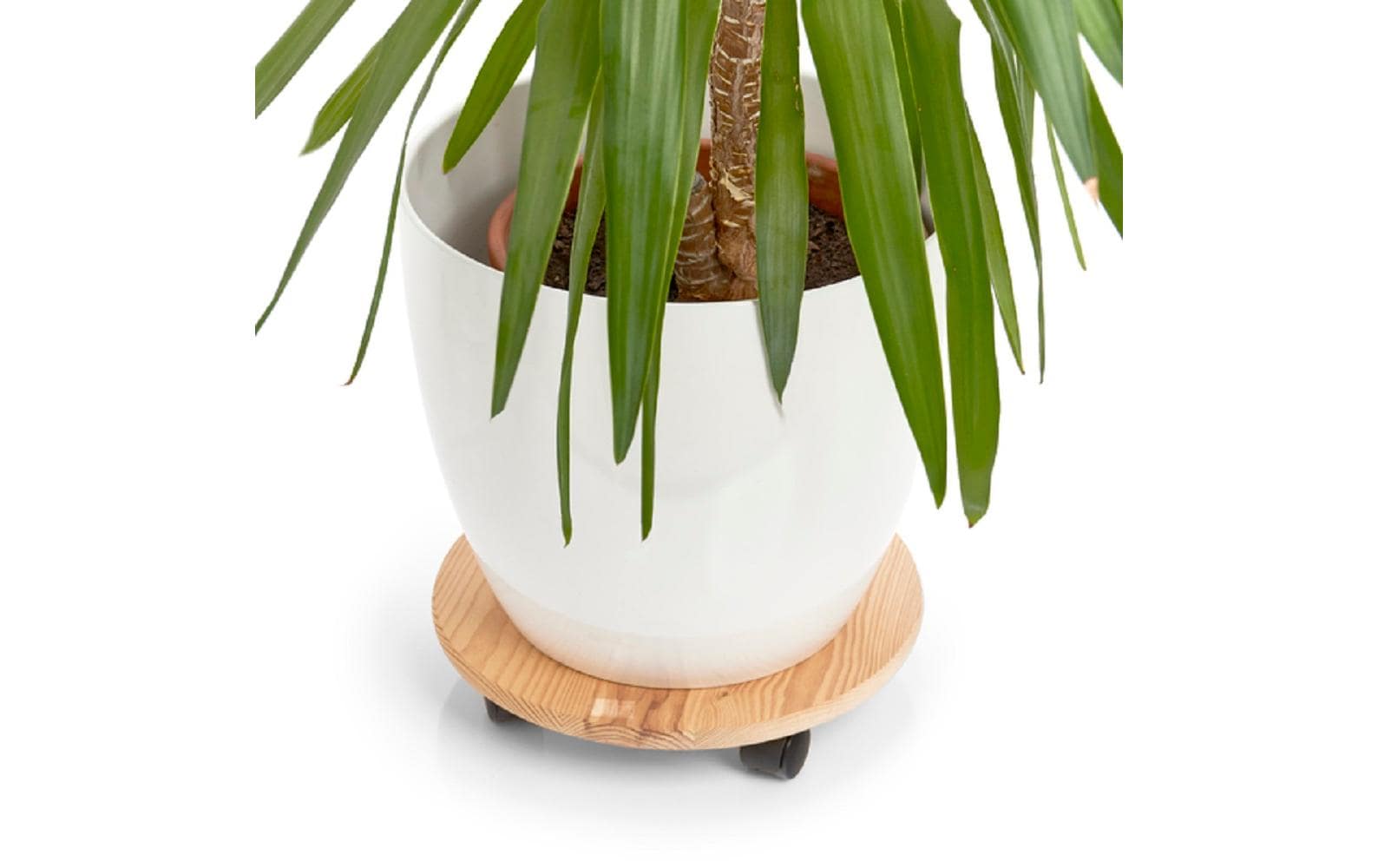 Zeller Present Rolleruntersetzer Ø 35 cm, Nature Zeller Present Rolleruntersetzer Ø 35 cm, Nature