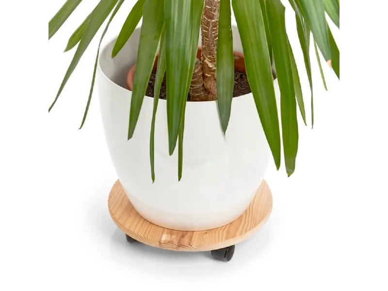 Zeller Present Rolleruntersetzer Ø 35 cm, Nature Zeller Present Rolleruntersetzer Ø 35 cm, Nature