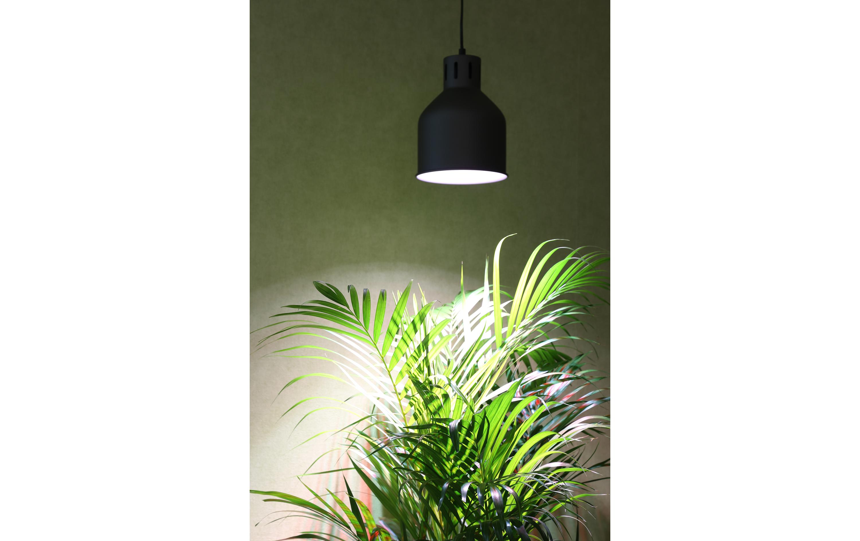 Venso Solutions Lampenschirm Saga E27, Hellgrau