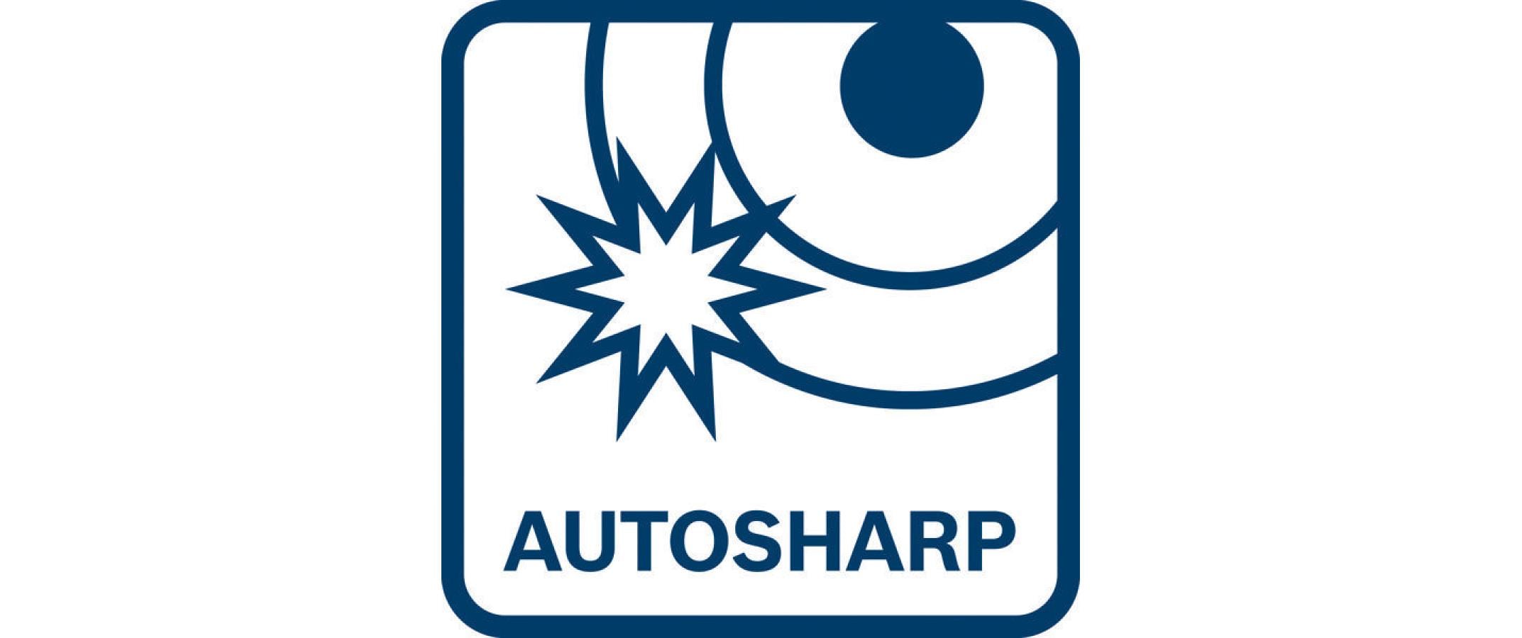 Bosch Professional Akku-Universalschneider GUS 12 V-300 + L-Boxx 102 Solo