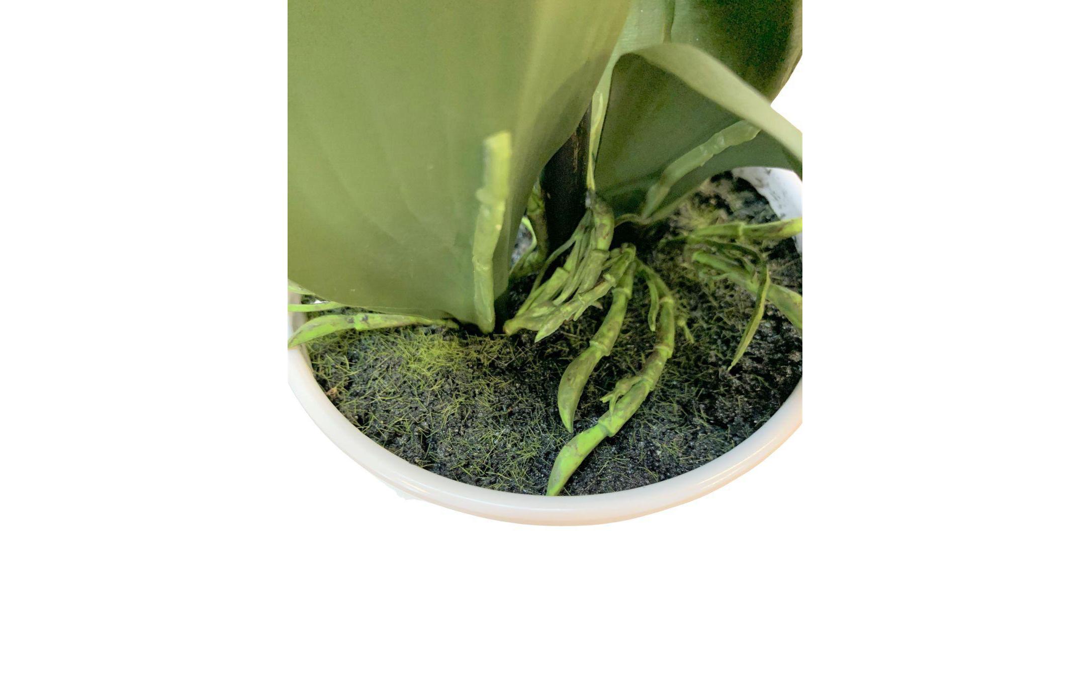 Botanic-Haus Kunstblume Phalenopsis 1 Rispe im Topf, Weiss