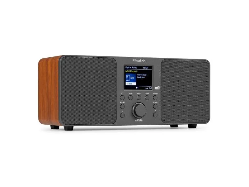 Audizio Genua-DG DAB+/FM Radio mit BT, Stereo, Grau