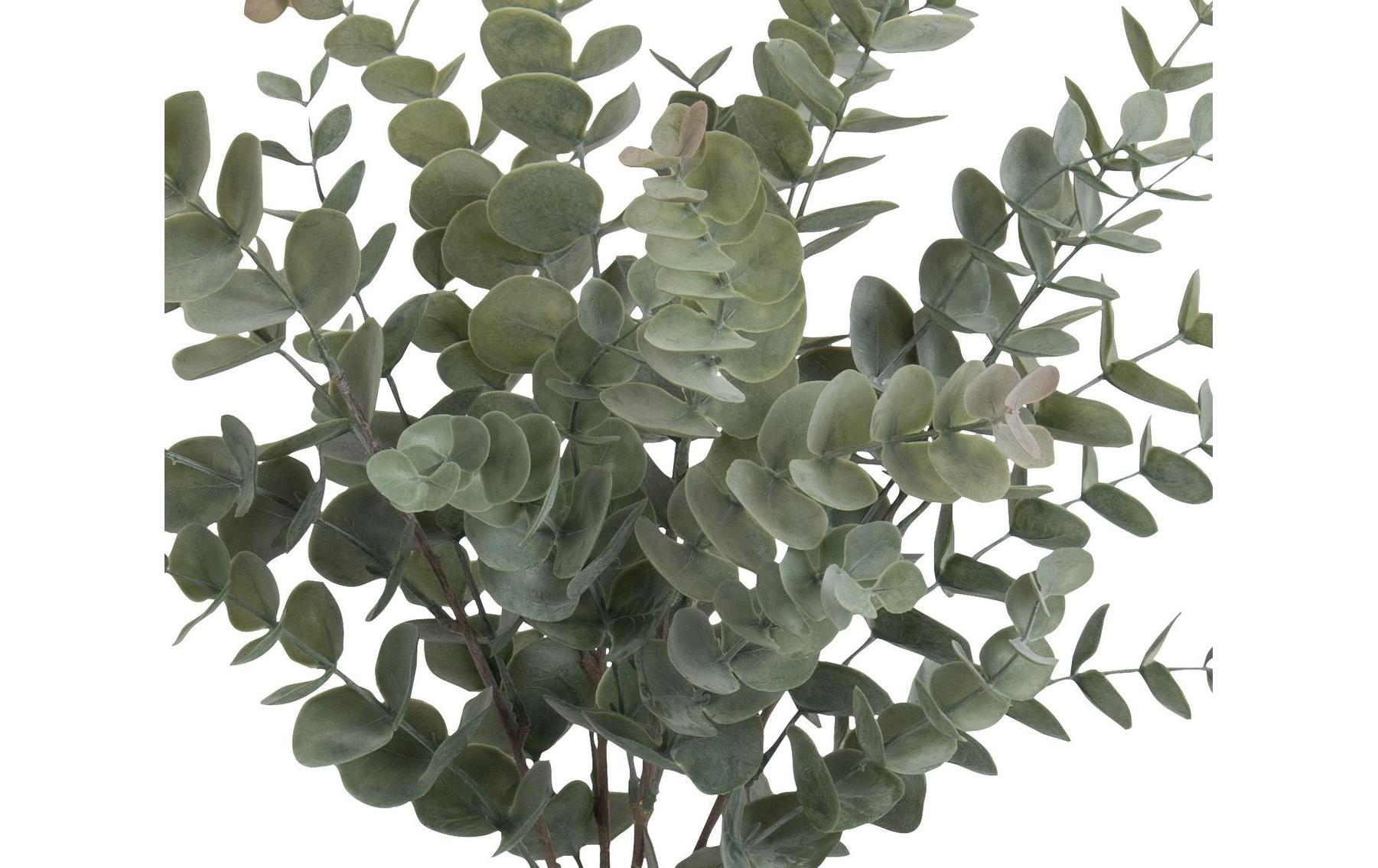 Botanic-Haus Kunstpflanze Eukalyptusbusch 56 cm