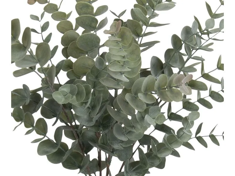 Botanic-Haus Kunstpflanze Eukalyptusbusch 56 cm Botanic-Haus Kunstpflanze Eukalyptusbusch 56 cm