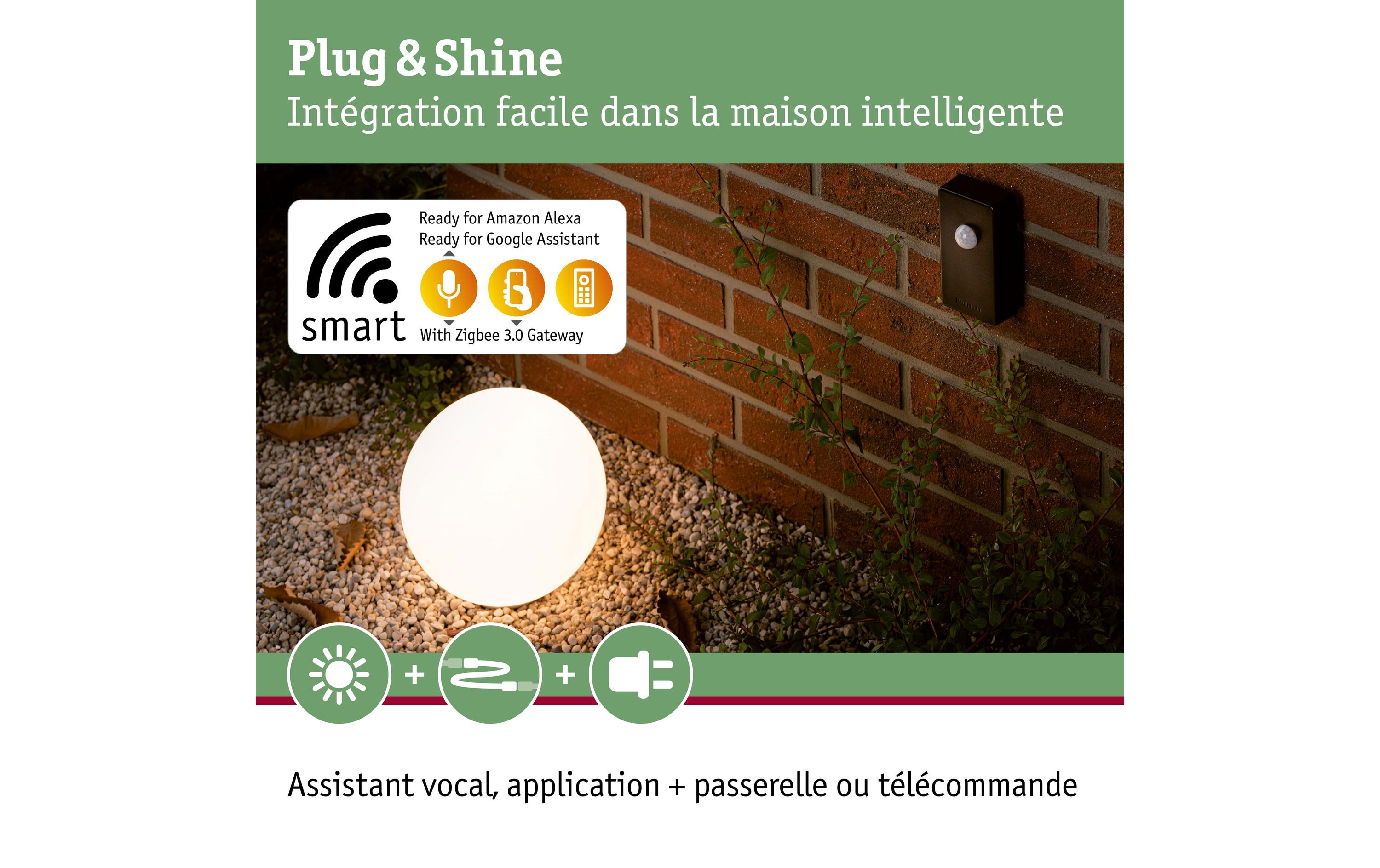 Paulmann Controller Plug & Shine Zigbee IP68 24 V DC