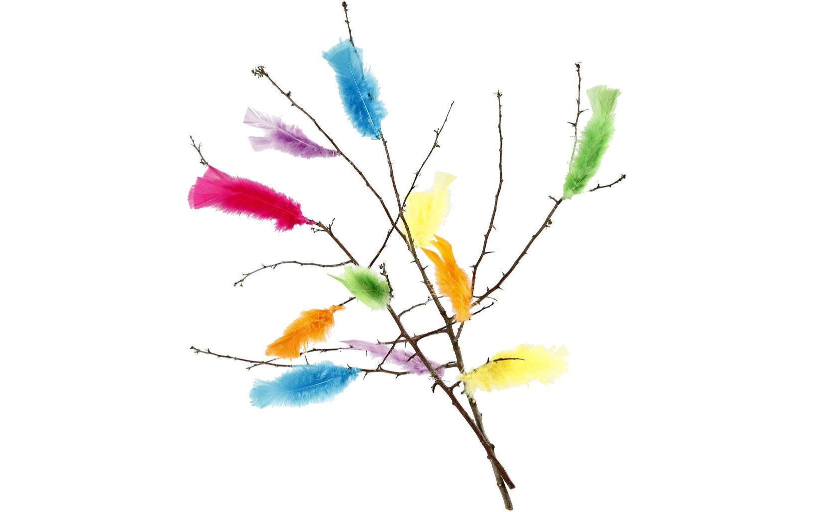 Creativ Company Federn Mehrfarbig, 18 Stück