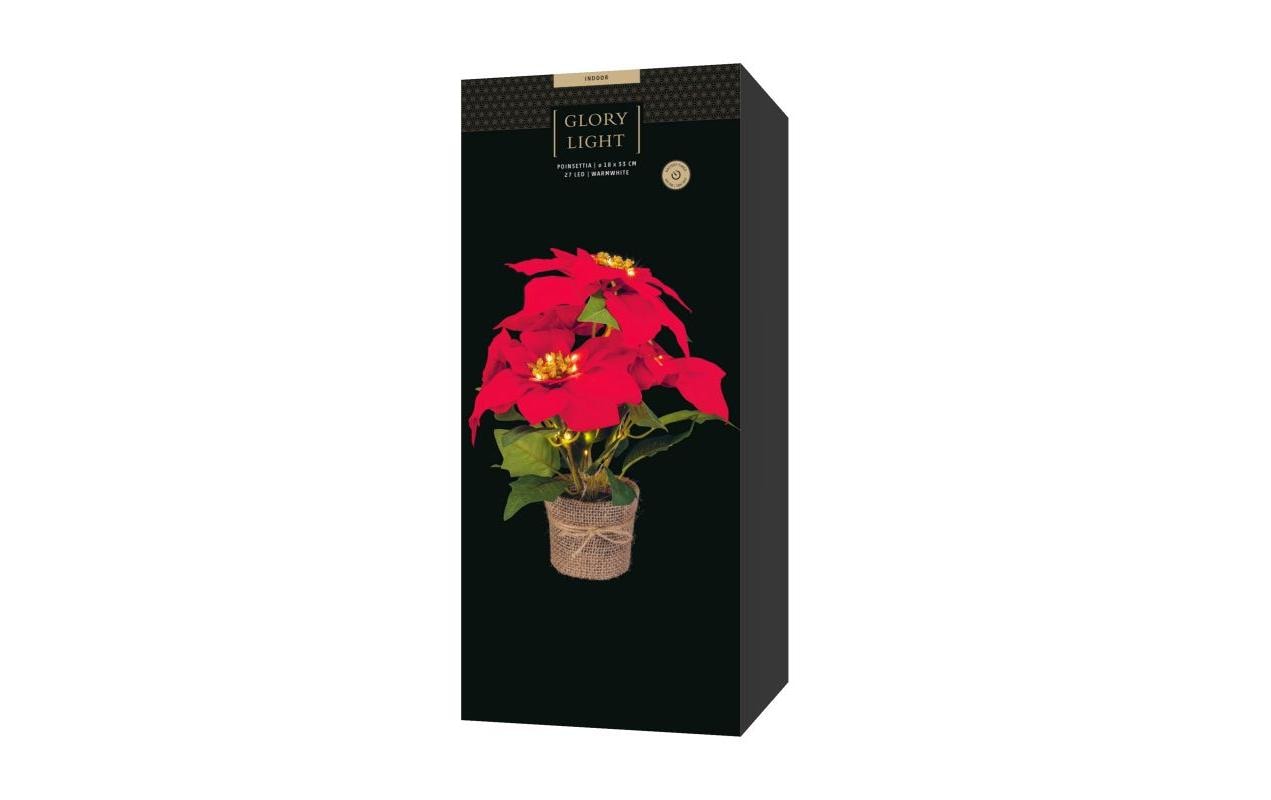 STT Poinsettia 33 cm