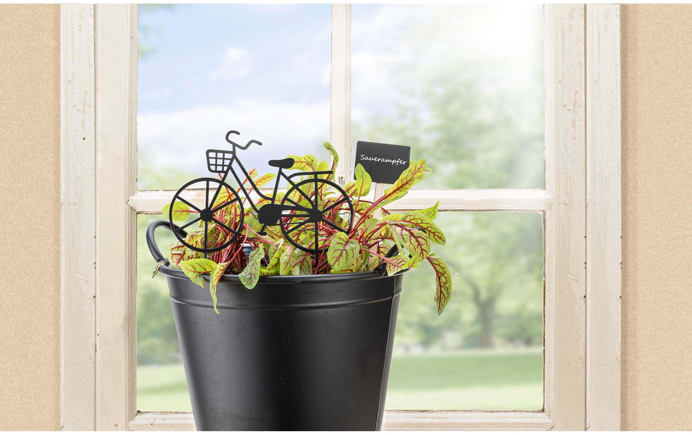 Glorex Kreidetafel mit Stab 4 Stück, rechteckig