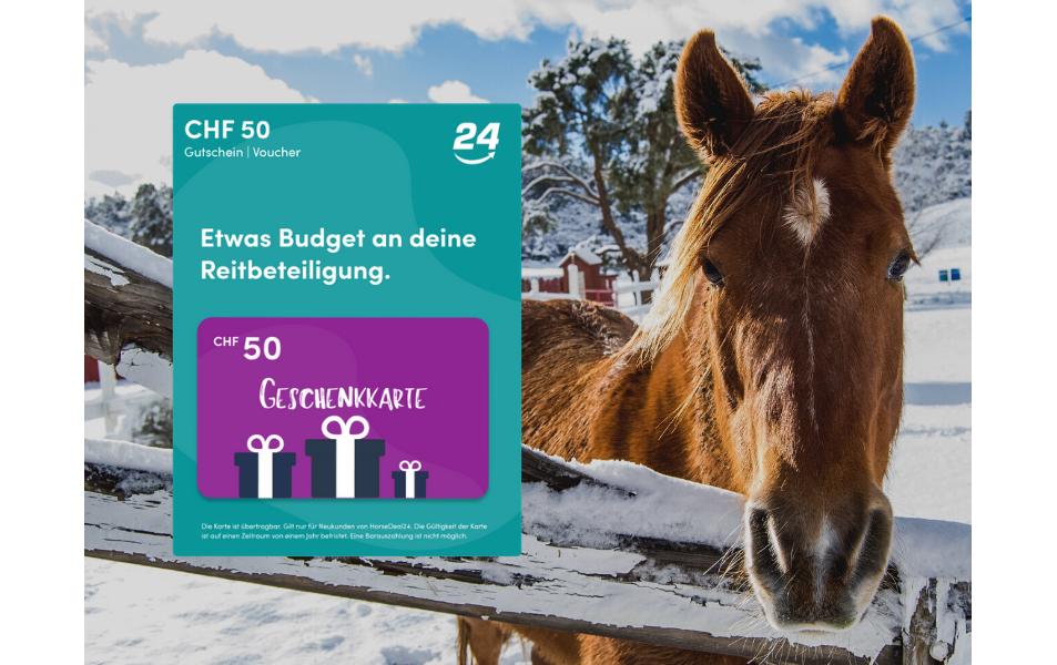 horsedeal24 Horsedeal.ch Gutschein CHF 50.–