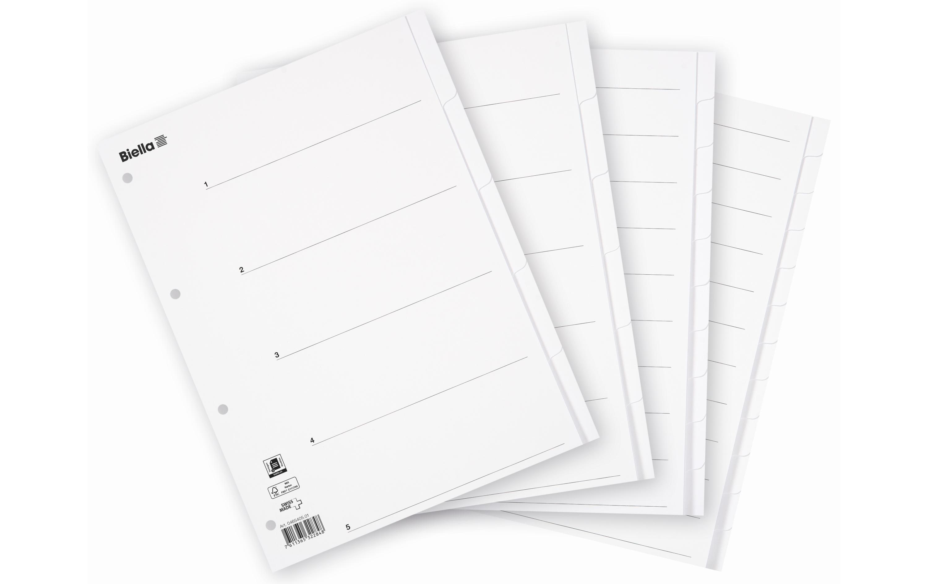 Biella Register A4 Karton 6-teilig mit Indexblatt