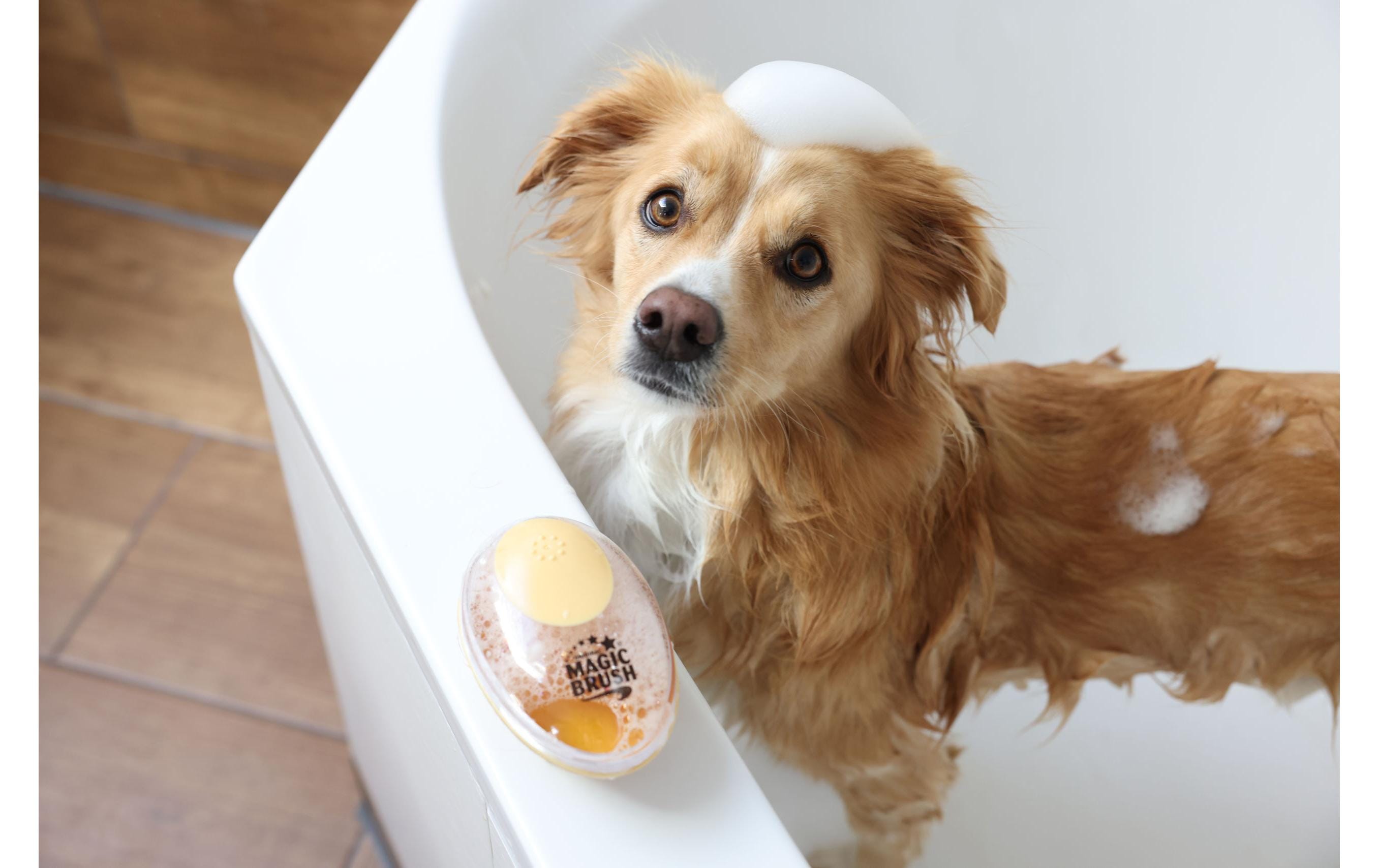 Kerbl MagicBrush Badebürste 11.5 cm x 7.5 cm x 6 cm