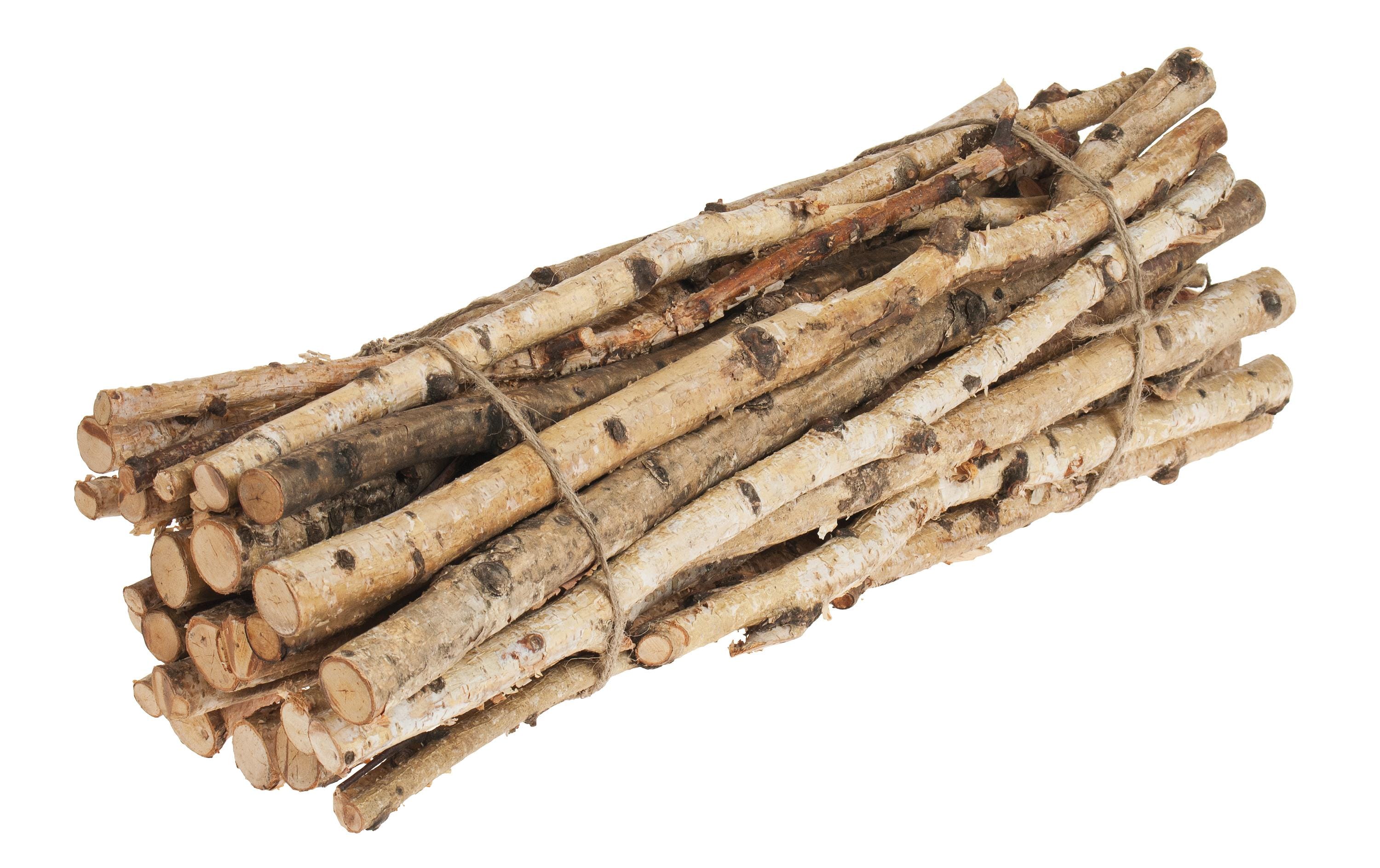 Opiflor Birkenäste gebündelt 1-2.5 x 50 cm Opiflor Birkenäste gebündelt 1-2.5 x 50 cm