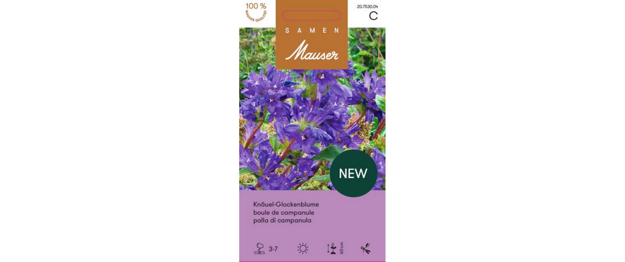 Samen Mauser Campanula glomerata Samen Mauser Campanula glomerata