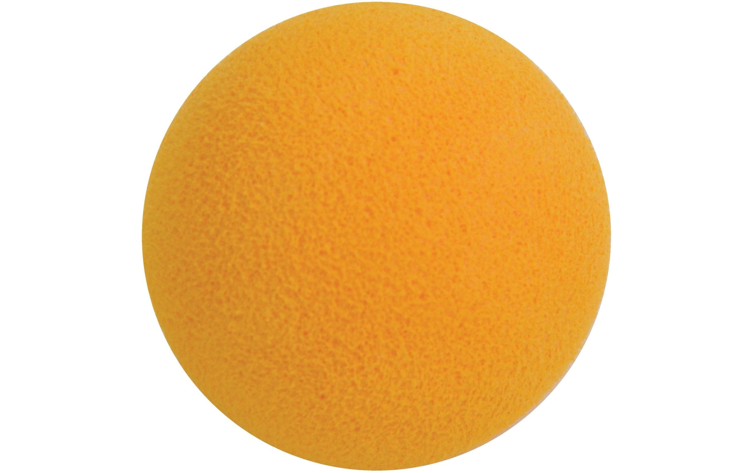 Schildkröt Funsports Schildkröt Fire Blaster Set Schaumkugel-Popperpistolen