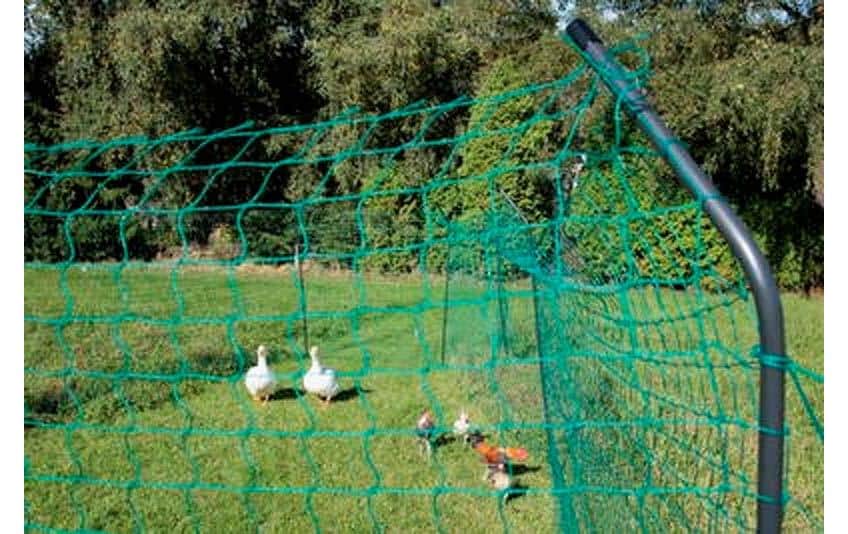 Sanilu Hühnerzaun, 180 cm, Grün