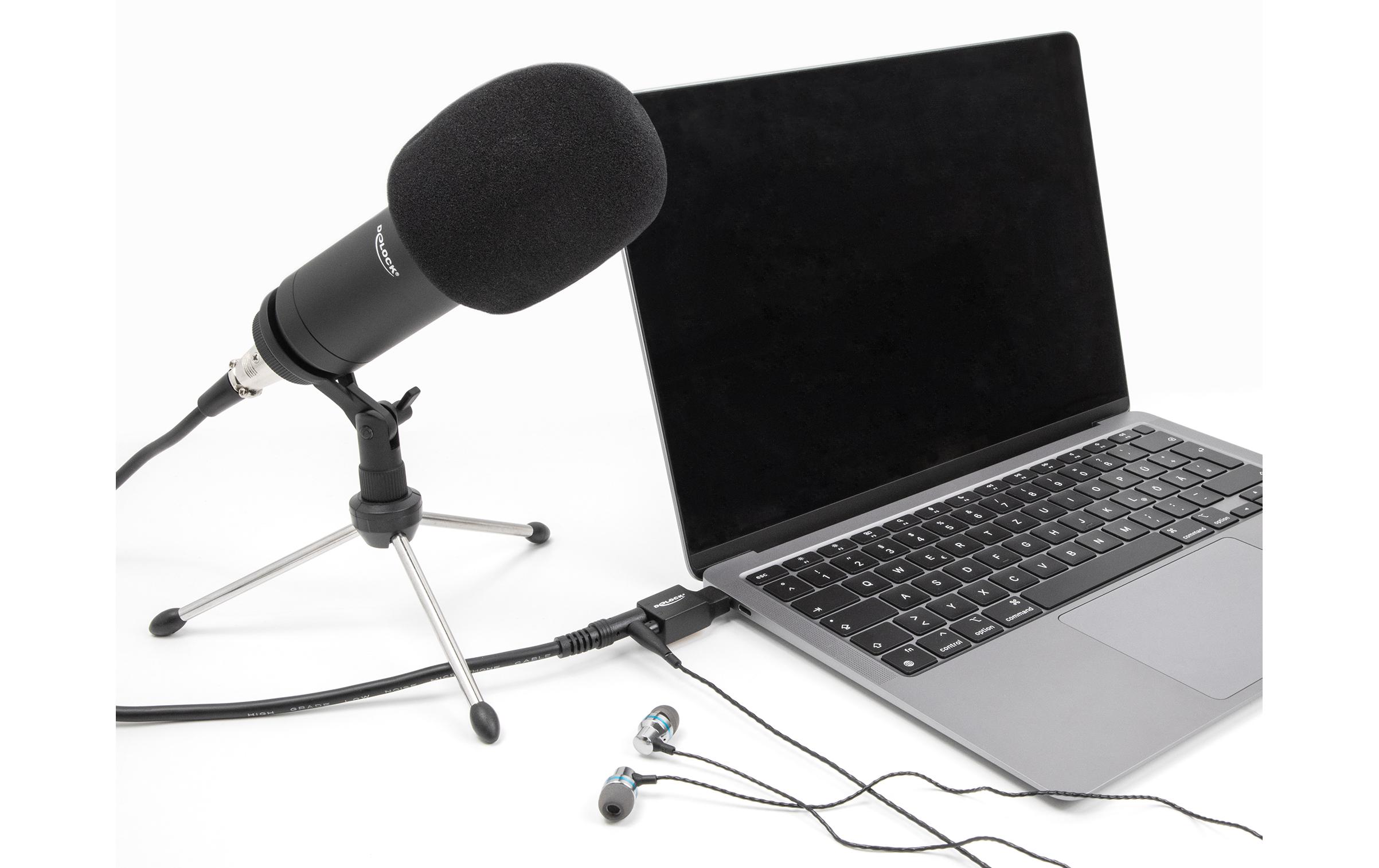 Delock Soundkarte USB-C Stecker - 2x3.5mm Klinke Plug & Play