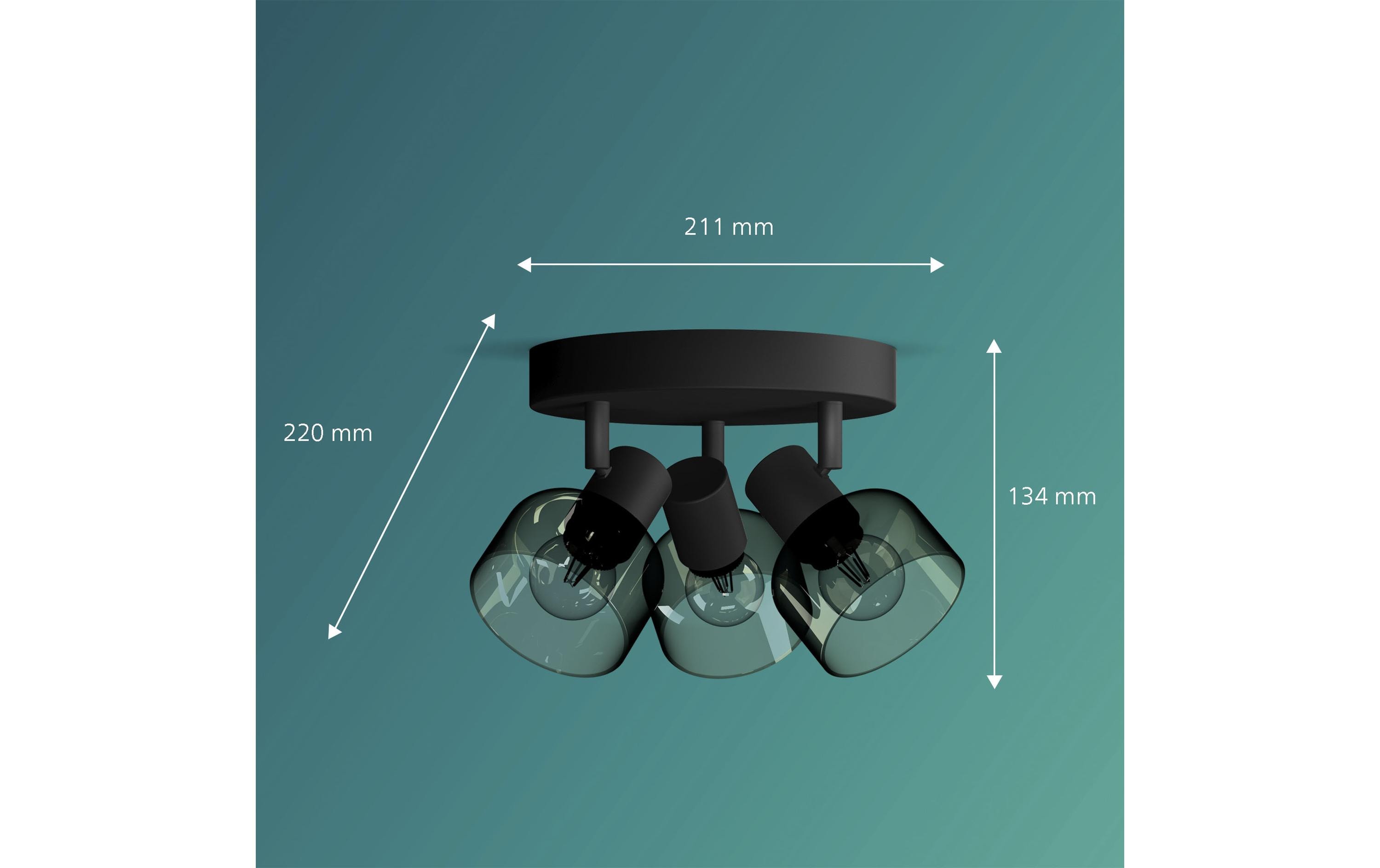 Philips Aufbauspot Sleet 3er Spot für E14, rund Schwarz, ohne LM