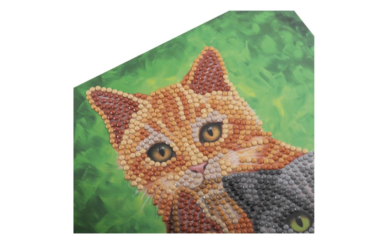 CRAFT Buddy Bastelset Crystal Art Card Katzen