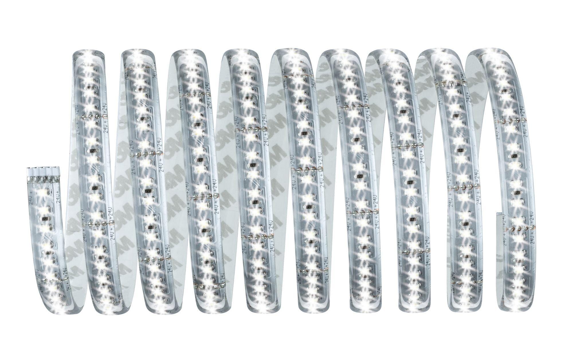 Paulmann LED-Stripe MaxLED 1000 6500 K, 3 m Basisset