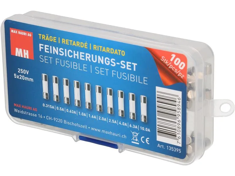 Max Hauri Schmelzsicherung Set 5 x 20 mm Träge, 100 Stück Max Hauri Schmelzsicherung Set 5 x 20 mm Träge, 100 Stück