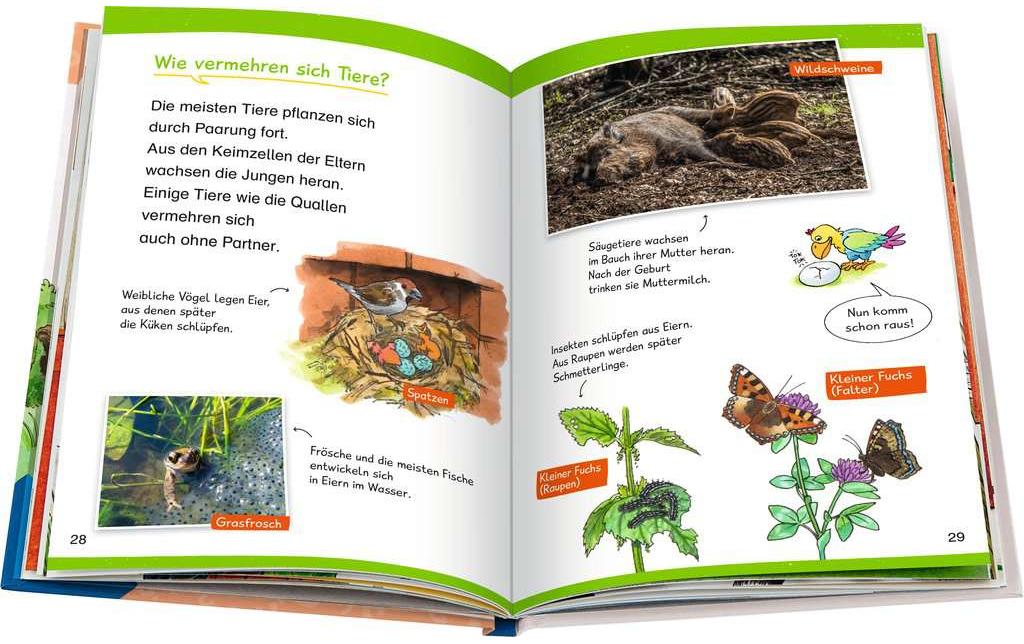 Ravensburger Kinder-Sachbuch WWW Erstleser: In der Natur (Band 10)