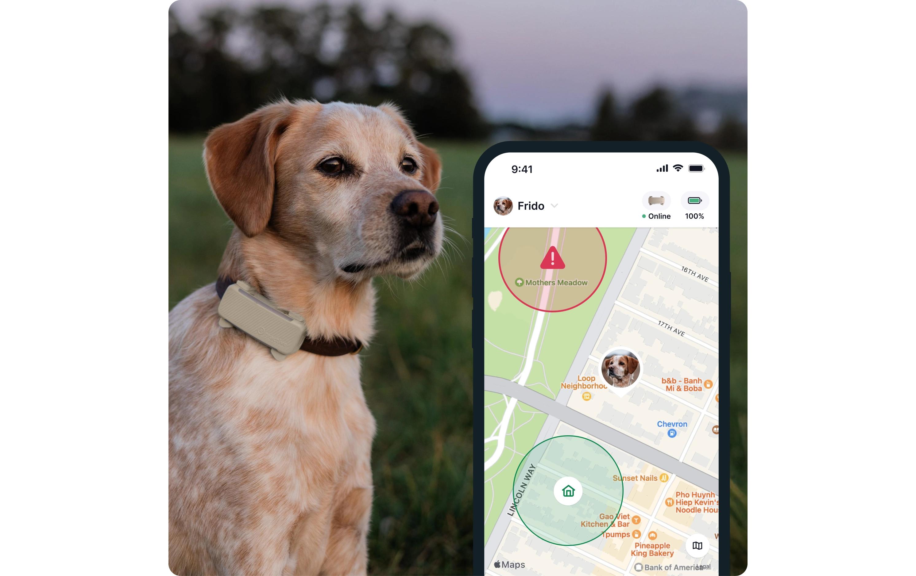 tractive GPS-Tracker DOG 6 Braun