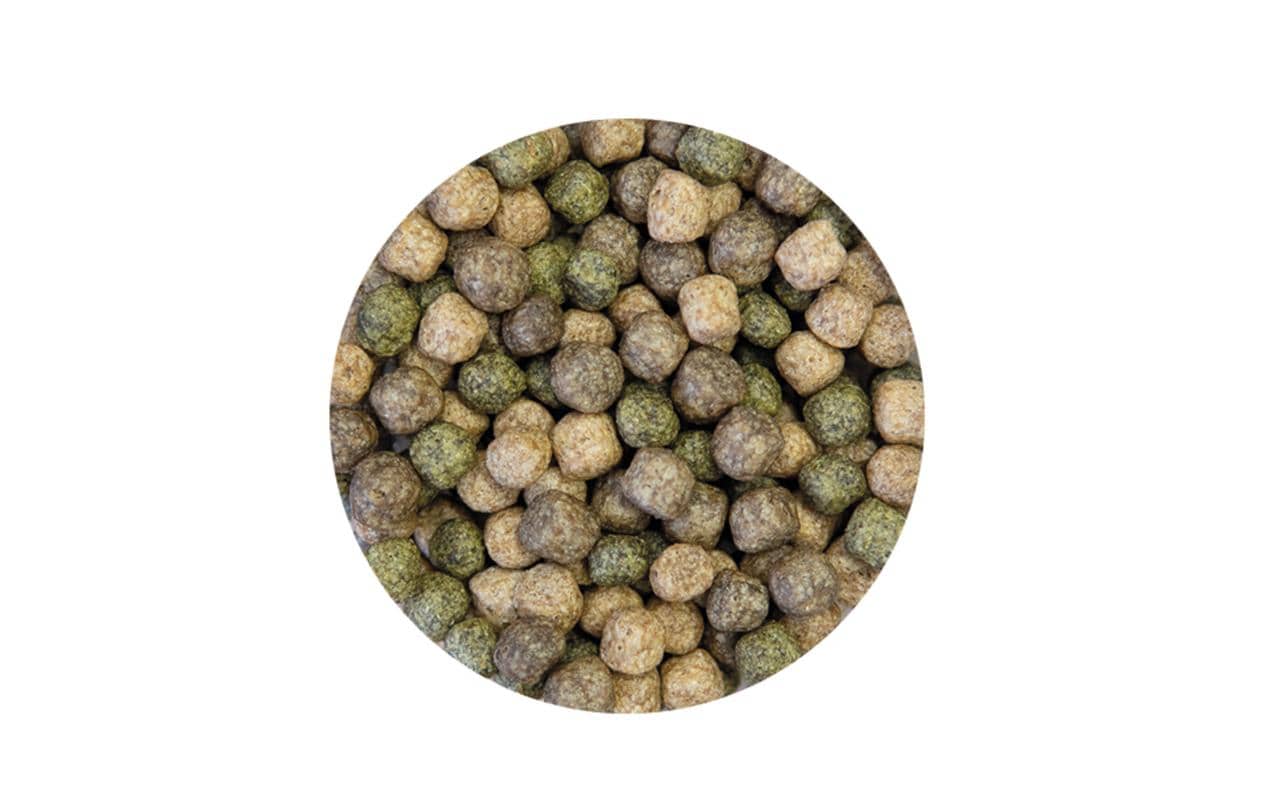 Kobre®San Koifutter Silver Line Grow & Color, 6 mm, 5 kg Kobre®San Koifutter Silver Line Grow & Color, 6 mm, 5 kg