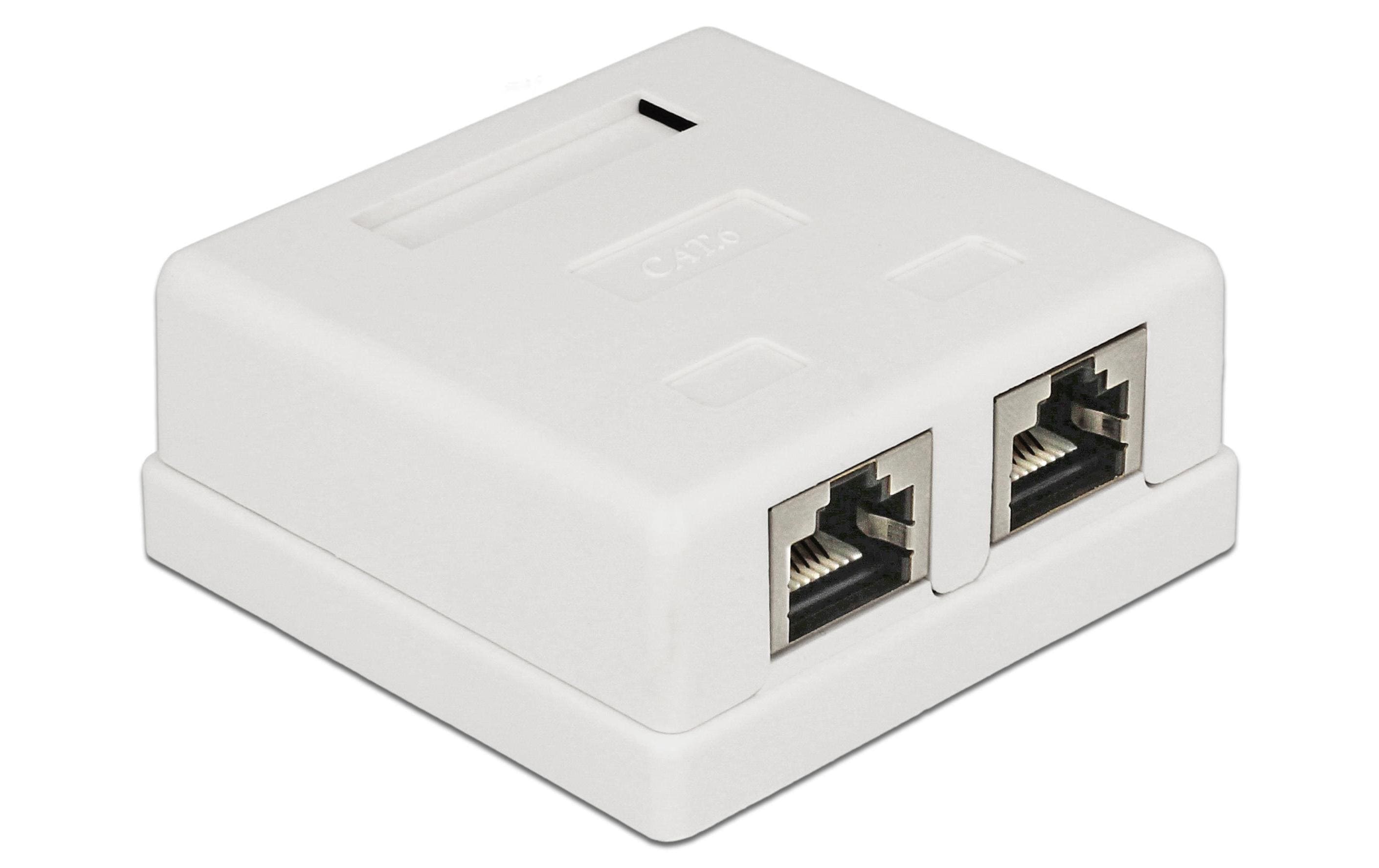 Delock Gehäuse Cat.6 LSA 2-fach Delock Gehäuse Cat.6 LSA 2-fach