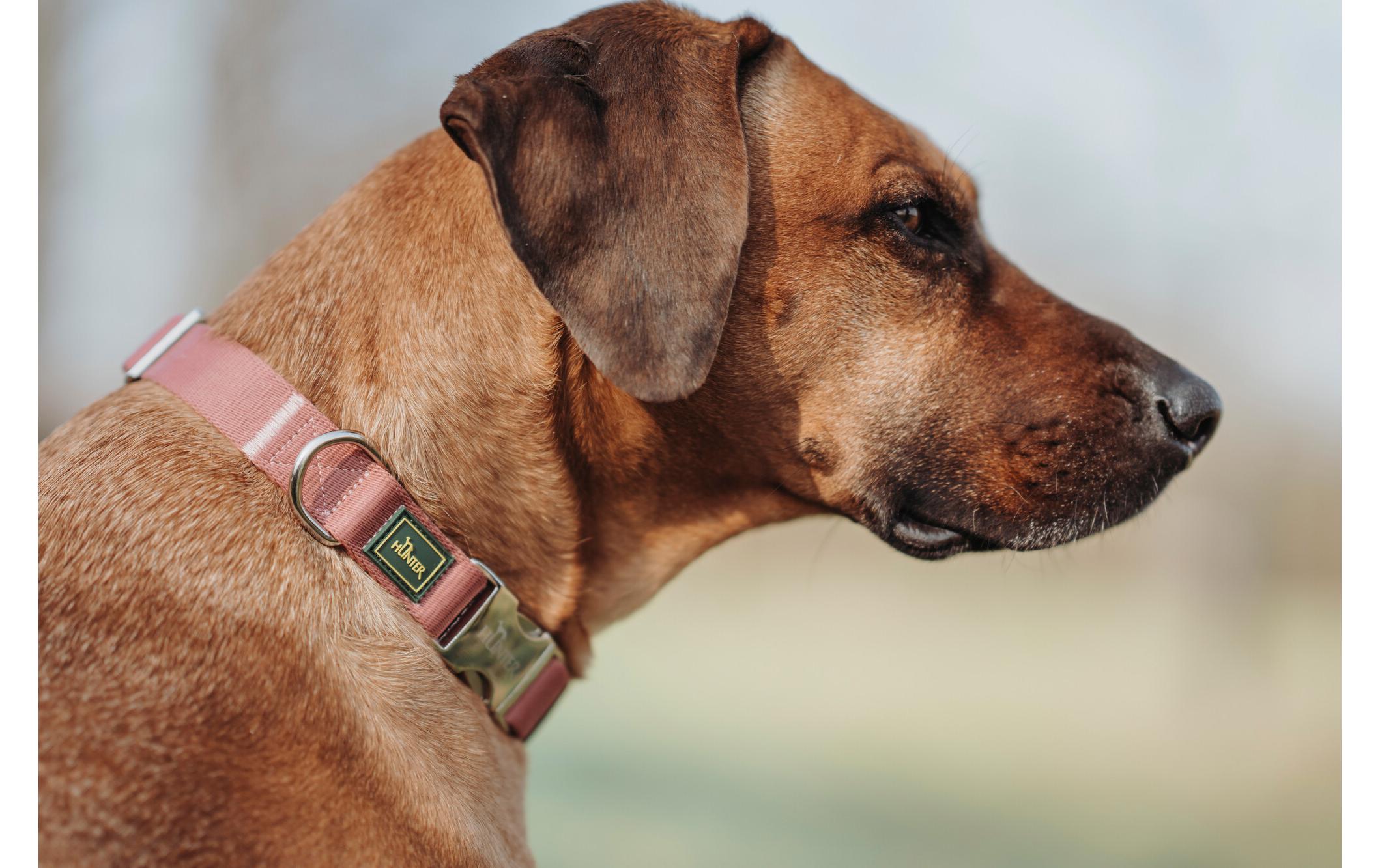 Hunter Halsband Inari Alu-Strong, M, Pastellrot
