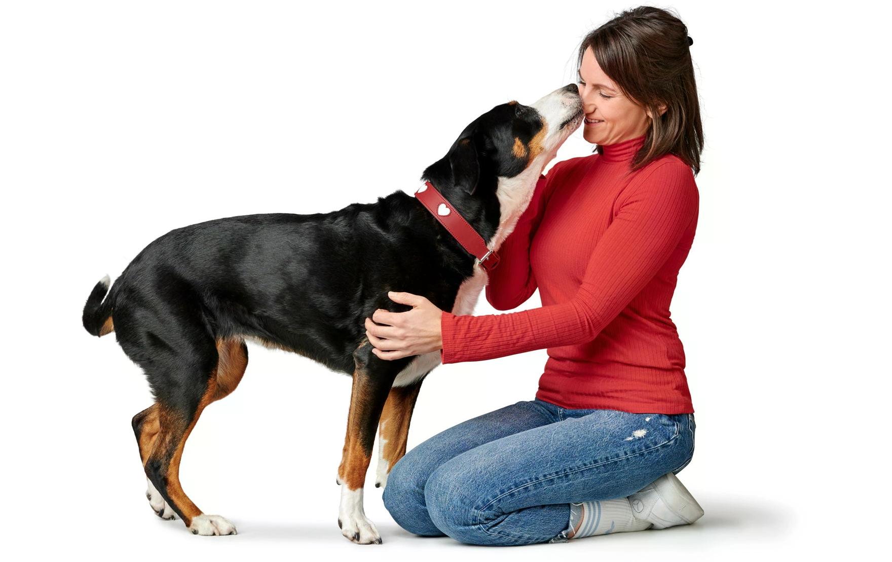 Hunter Halsband Love L (65), Rot/Schwarz