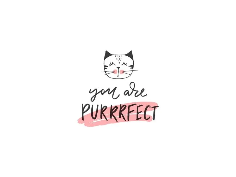 Paper + Design Taschentücher Purrrfect 10 Stück