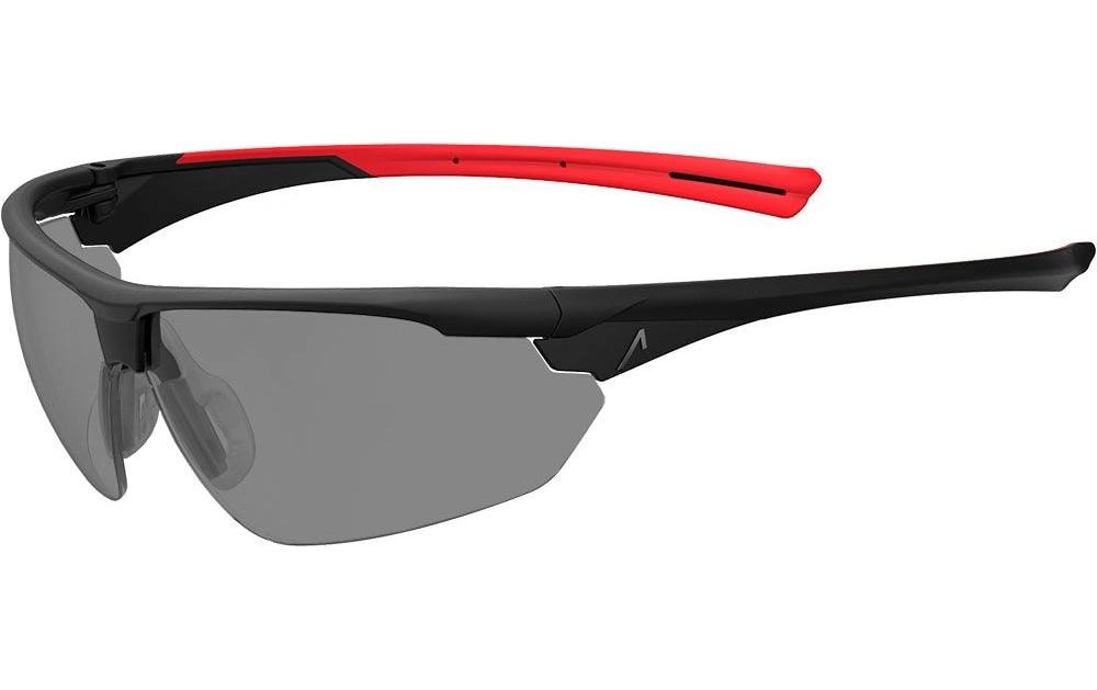 ACE Schutzbrille Evo EN166 Getönt Smoke