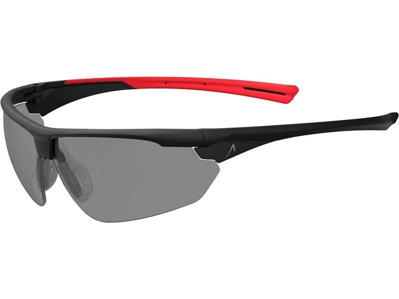 ACE Schutzbrille Evo EN166 Getönt Smoke