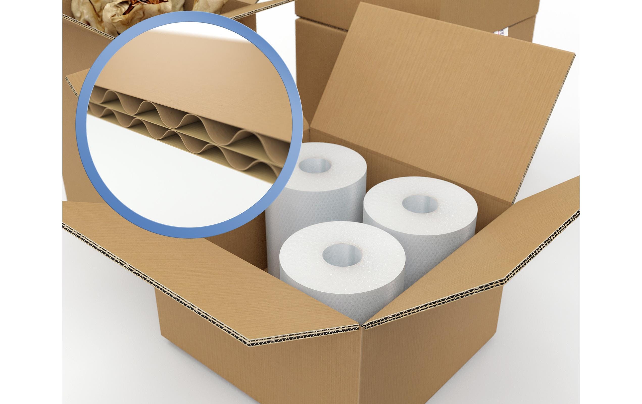 Antalis Versandkarton BRANOwell 79 x 50 x 59 cm, 10 Stück