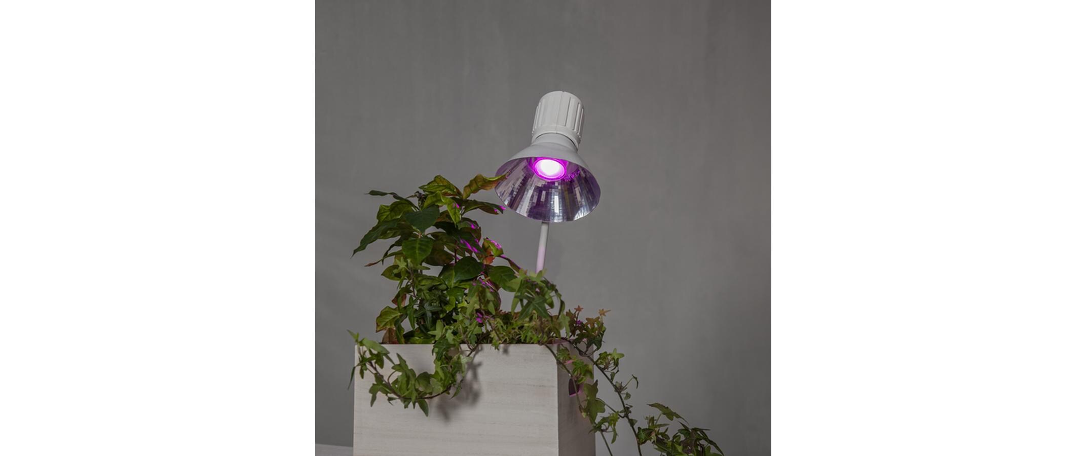 Star Trading LED Leuchtmittel G9 Halo-LED 138 lm, 2700K, 1.5W, 220-240V