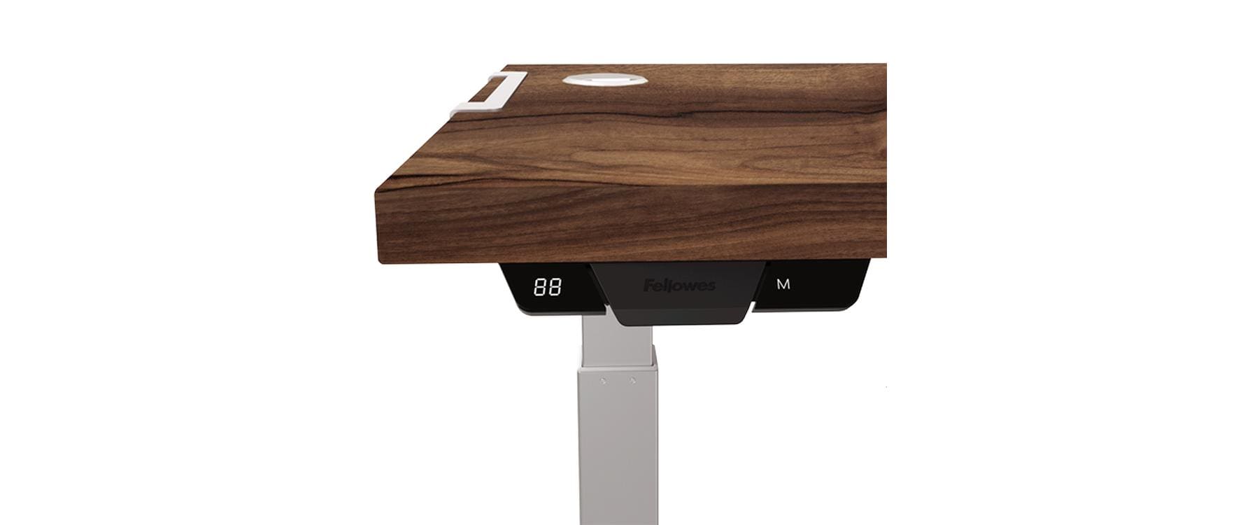 Fellowes Tischplatte Levado 160 x 80 cm, Walnuss