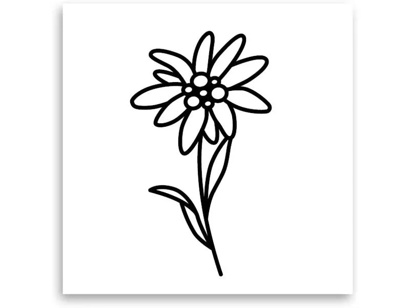 minink Tattoo Edelweiss Blume Grösse: S (2.4 cm x 4.2 cm) minink Tattoo Edelweiss Blume Grösse: S (2.4 cm x 4.2 cm)