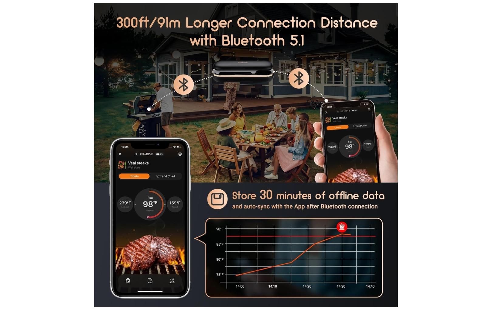 Inkbird Temperatursonde INT-11-P-B