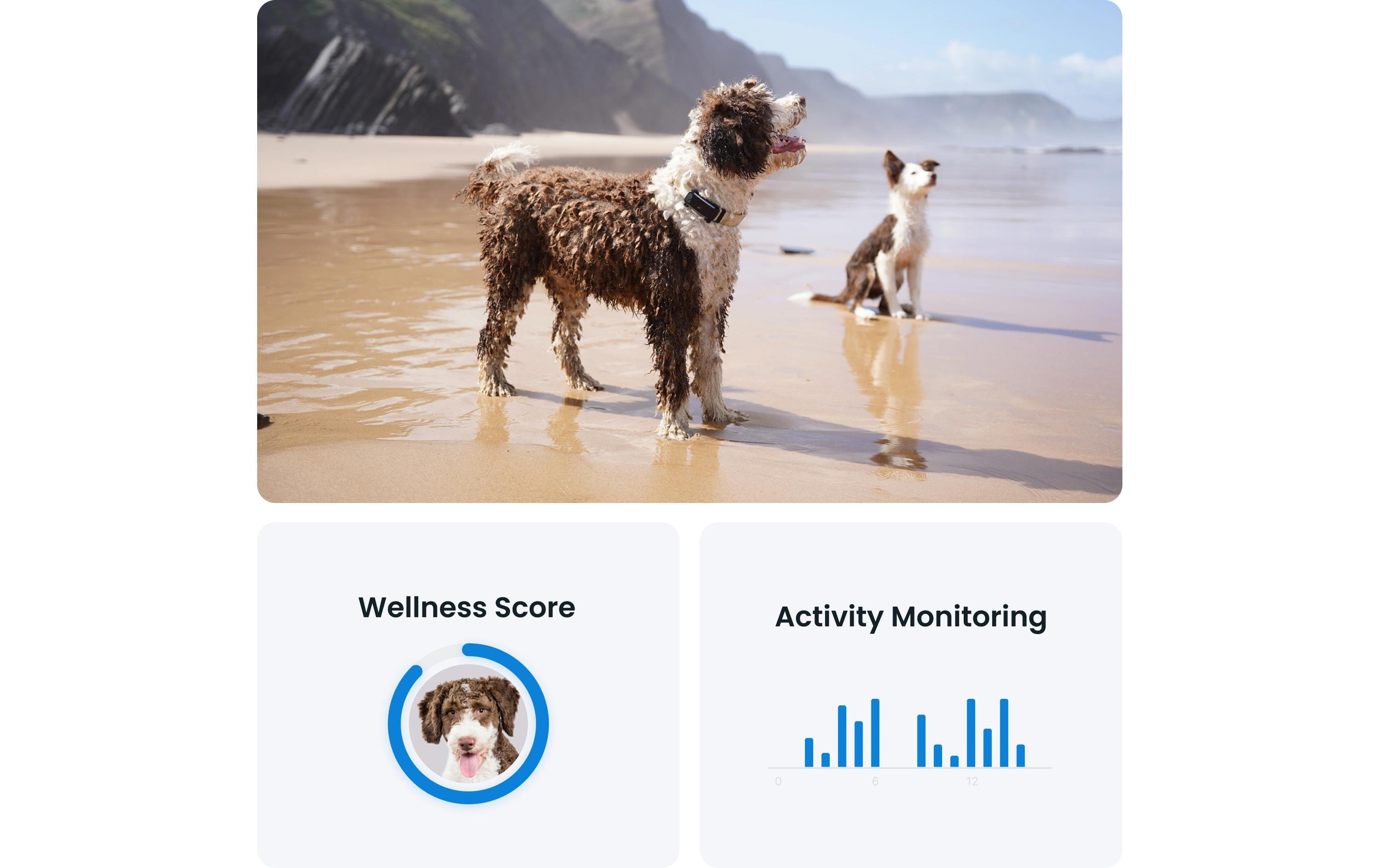 tractive GPS-Tracker DOG 6 Schwarz